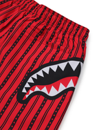 910SWM2025NSZ000_2_P